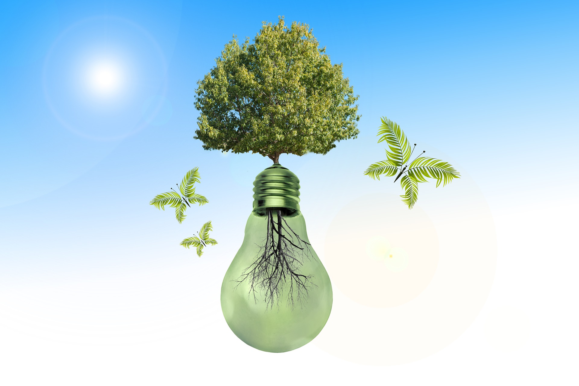 Baum wächst aus Glühbirne als Zeichen für erneuerbare Energiequellen