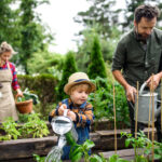 Familie mit kleinen Kindern, die im Garten am Hochbeet arbeiten und Bio-Gemüse anbauen.