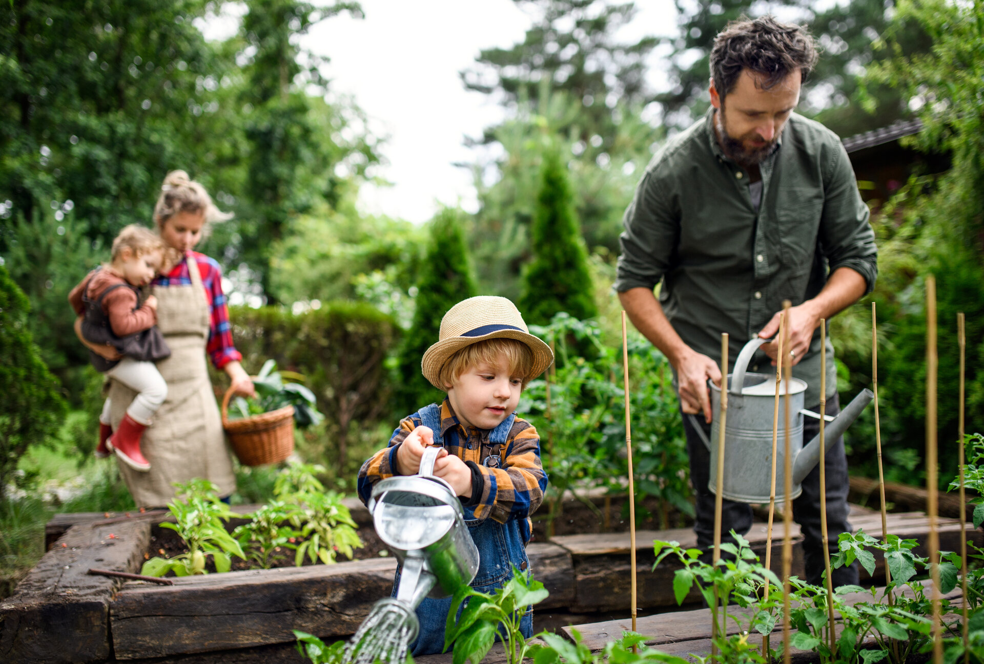 Familie mit kleinen Kindern, die im Garten am Hochbeet arbeiten und Bio-Gemüse anbauen.